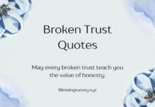Broken Trust Quotes Broken Trust Quotes